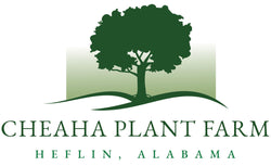Cheaha Plant Farm